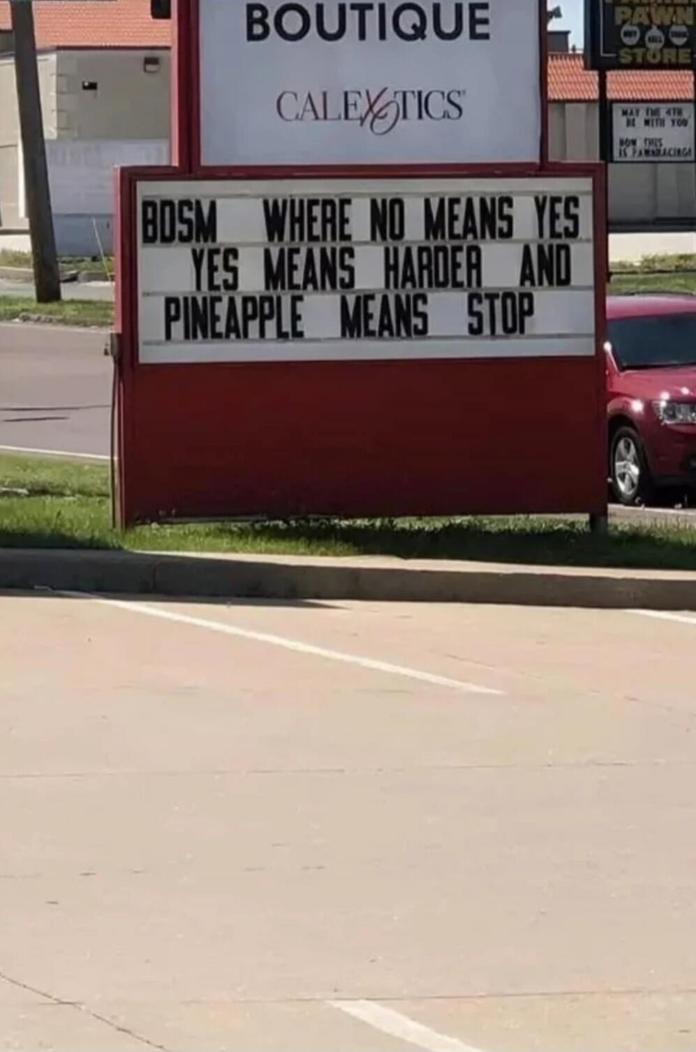 BDSM WHERE NO MEANS YES YES MEANS HARDER AND PINEAPPLE MEANS STOP. BOUTIQUE. CALEXTICS.