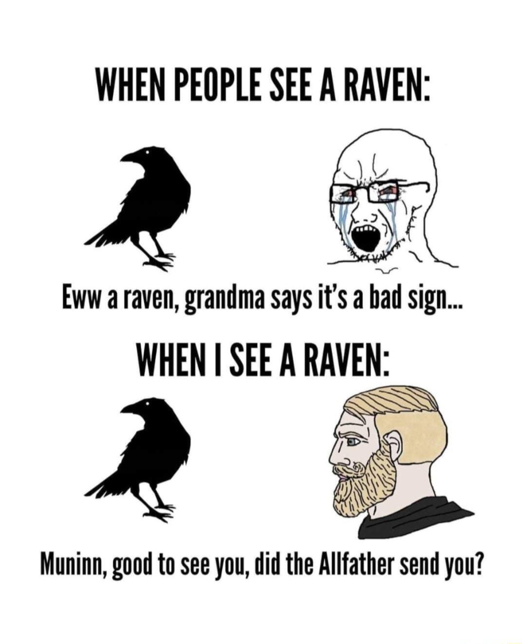 WHEN PEOPLE SEE A RAVEN Qb _ AQ o Eww a raven grandma says its a bad sign WHEN I SEE A RAVEN i k AN Muninn good to see you did the Allfather send you