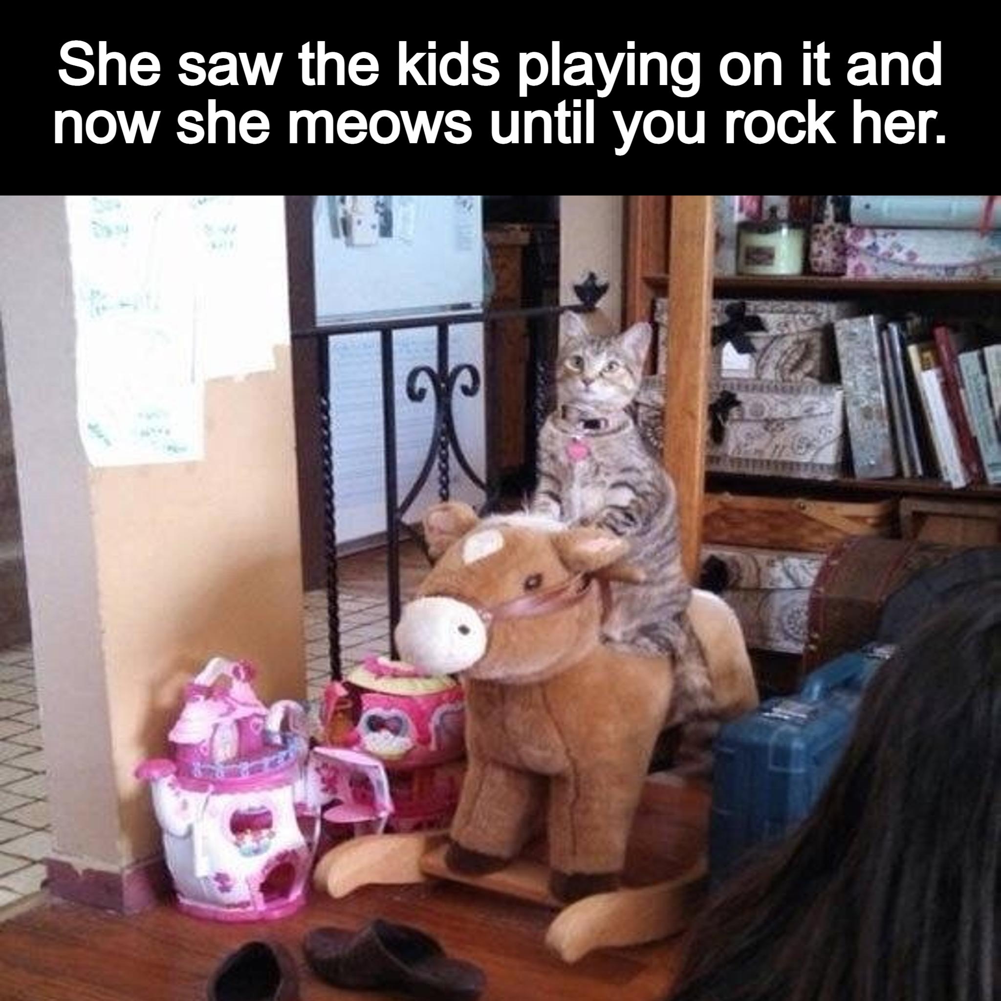 She saw the kids playing on it and now she meows until you rock her