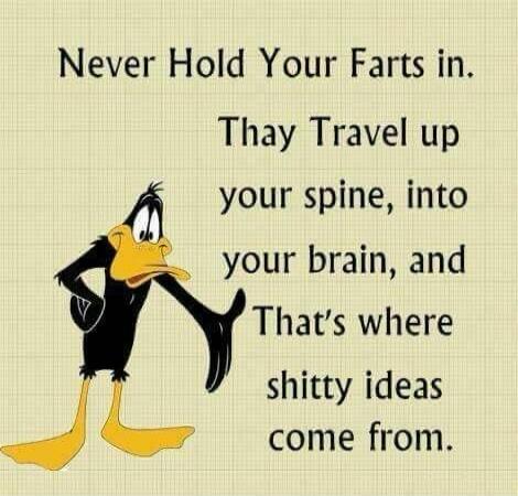 Never Hold Your Farts in. Thay Travel up your spine, into your brain, and That's where shitty ideas come from.