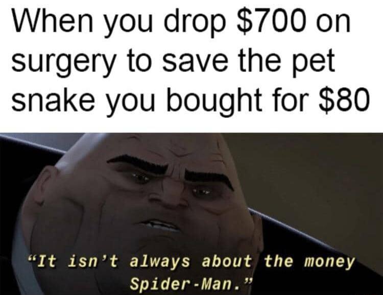 When you drop 700 on surgery to save the pet snake you bought for 80 It isnt always about the money Spider Man