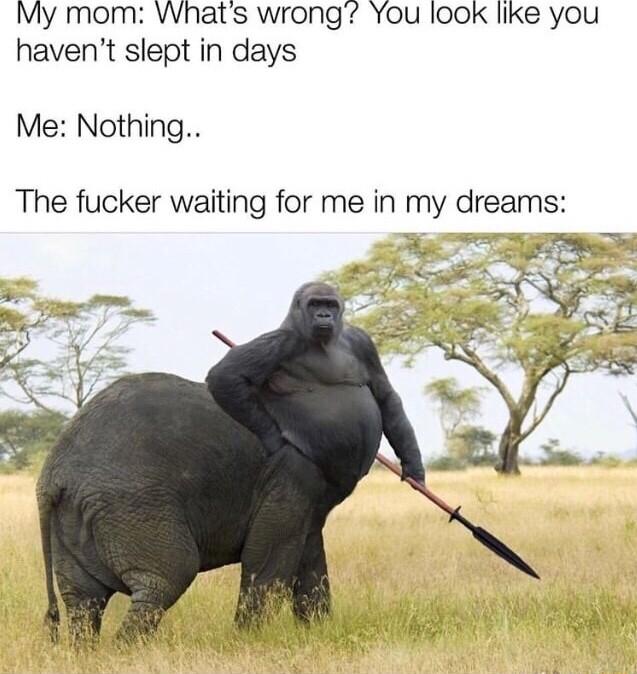 My mom VWhats wrong You looK like you havent slept in days Me Nothing The fucker waiting for me in my dreams S