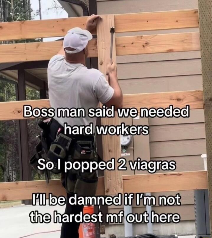 Boss man said we needed hard workers
So I popped 2 viagra
I'll be damned if I'm not the hardest mf out here