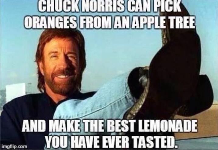 CHUCK NORRIS CAN PICK ORANGES FROM AN APPLE TREE AND MAKE THE BEST LEMONADE YOU HAVE EVER TASTED.