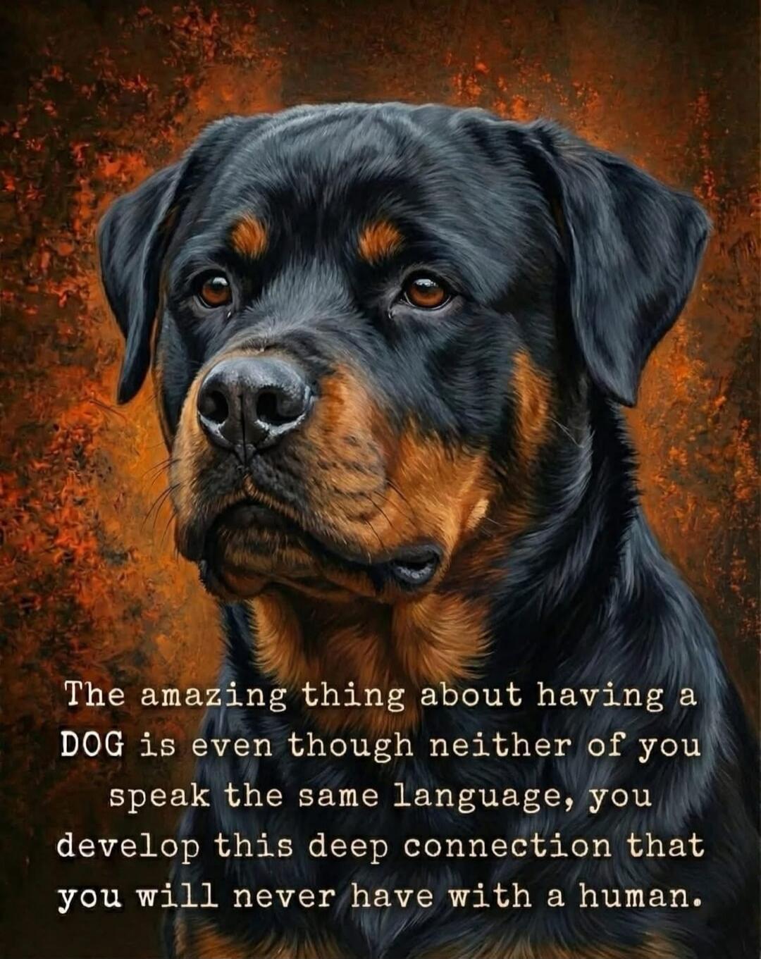 The amazing thing about having a DOG is even though neither of you speak the same language, you develop this deep connection that you will never have with a human.