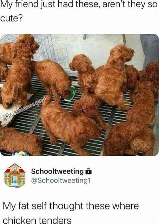 My friend Just had these arent they so cute B Schooltweeting f Schooltweeting1 My fat self thought these where chicken tenders
