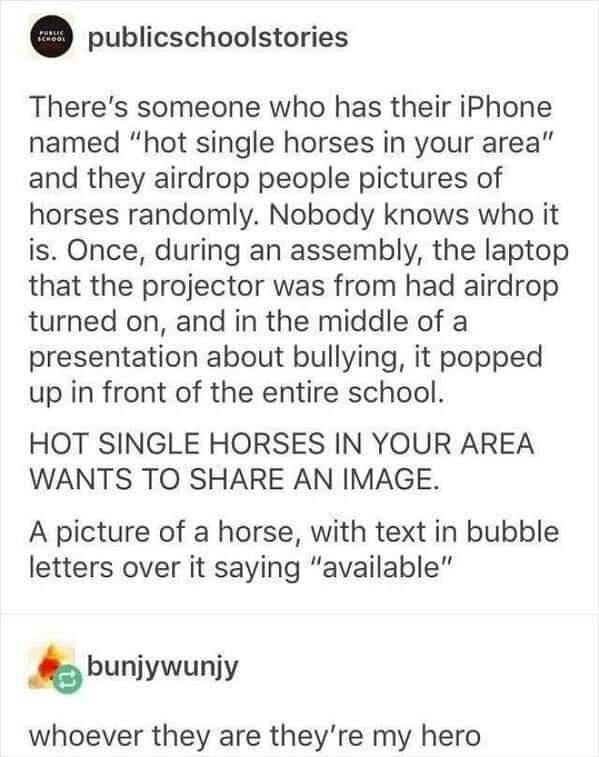publicschoolstories Theres someone who has their iPhone named hot single horses in your area and they airdrop people pictures of horses randomly Nobody knows who it is Once during an assembly the laptop that the projector was from had airdrop turned on and in the middle of a presentation about bullying it popped up in front of the entire school HOT SINGLE HORSES IN YOUR AREA WANTS TO SHARE AN IMAG
