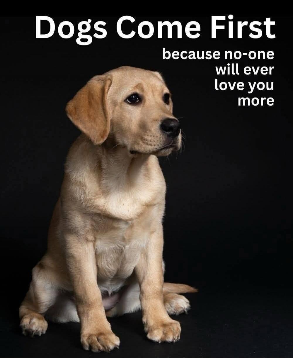 Dogs Come First because no-one will ever love you more