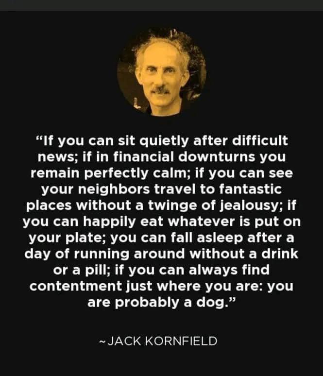 If you can sit quietly after difficult news if in financial downturns you remain perfectly calm if you can see your neighbors travel to fantastic places without a twinge of jealousy if you can happily eat whatever is put on your plate you can fall asleep after a day of running around without a drink TN RS ITREL VAR T contentment just where you are you are probably a dog JACK KORNFIELD