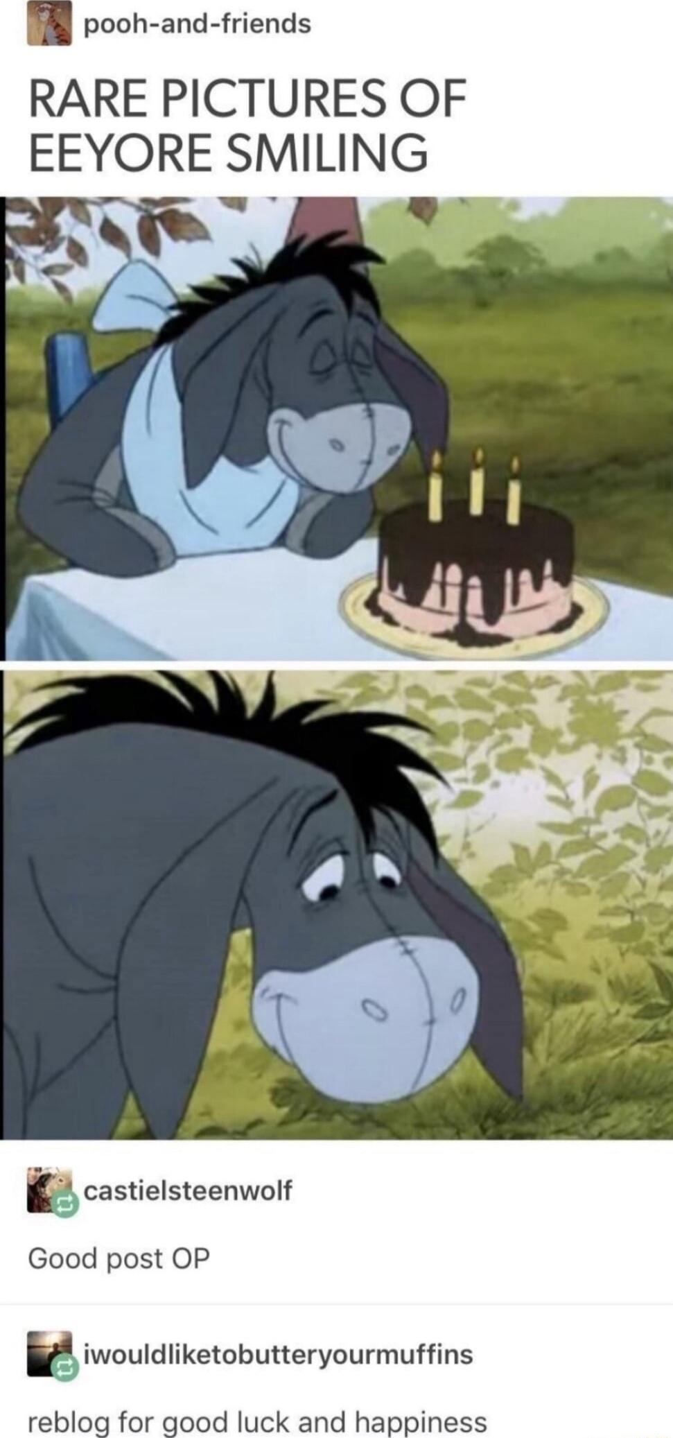 pooh and friends RARE PICTURES OF EEYORE SMILING Rl 9 I castielsteenwolf Good post OP i iwouldiiketobutteryourmuffins reblog for good luck and happiness