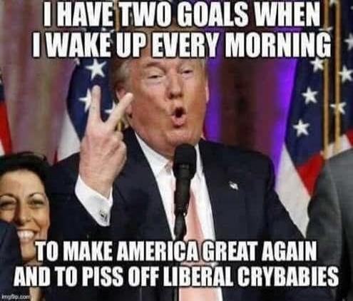 I HAVE TWO GOALS WHEN I WAKE UP EVERY MORNING TO MAKE AMERICA GREAT AGAIN AND TO PISS OFF LIBERAL CRYBABIES