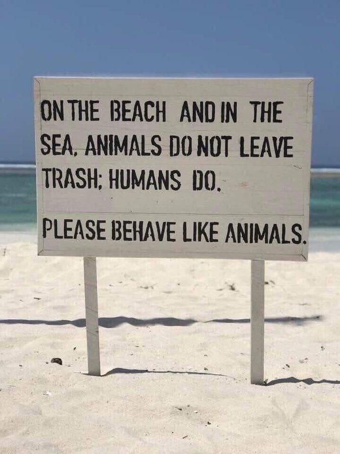 7 hNTHE BEACH ANDIN THE SEA ANIMALS DONOT LEAVE 559 TRASH HUMANS DO N PLEASE BEHAVE LIKE ANIMAIS