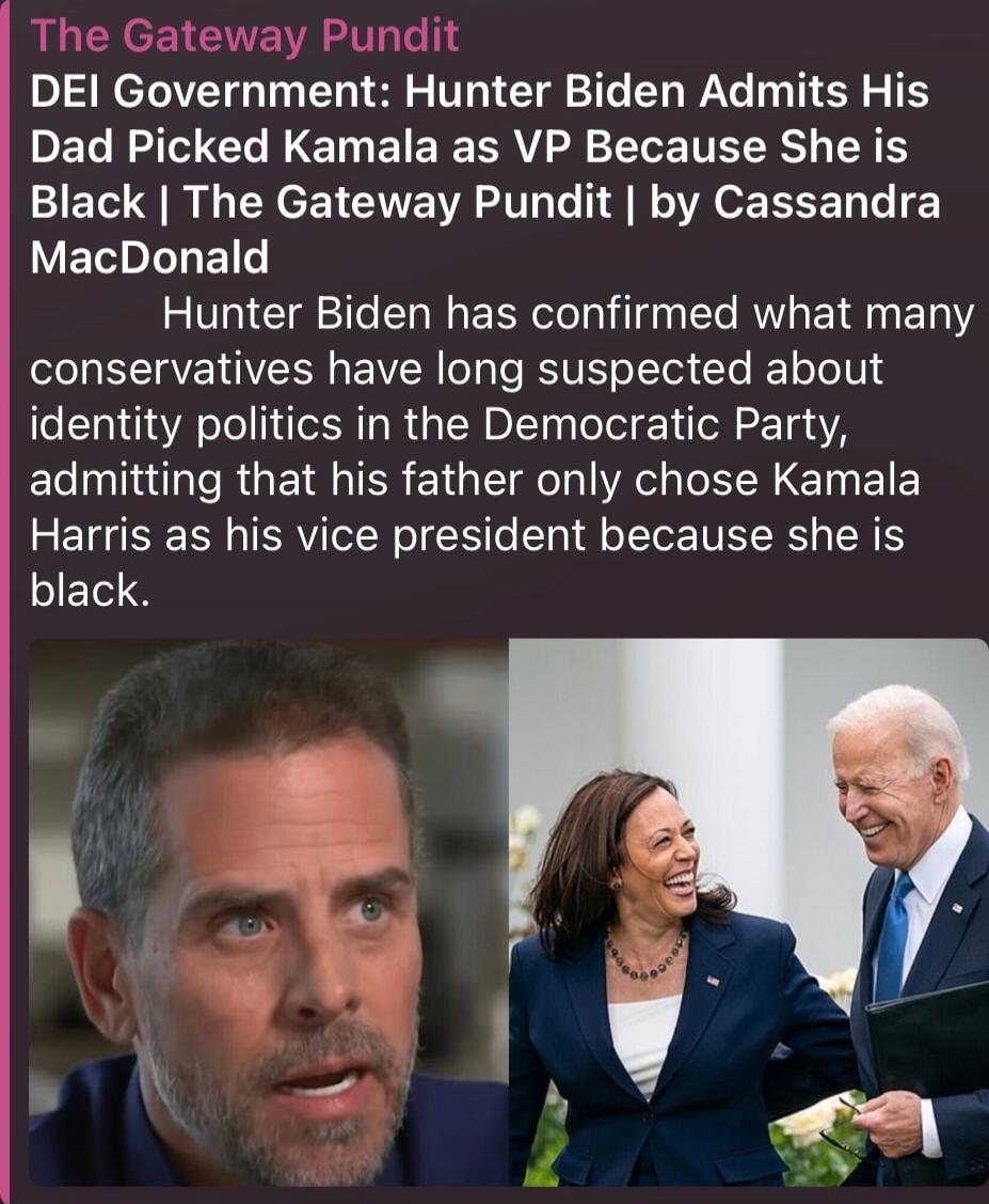 The Gateway Pundit
DEI Government: Hunter Biden Admits His Dad Picked Kamala as VP Because She is Black | The Gateway Pundit | by Cassandra MacDonald

Hunter Biden has confirmed what many conservatives have long suspected about identity politics in the Democratic Party, admitting that his father only chose Kamala Harris as his vice president becaus