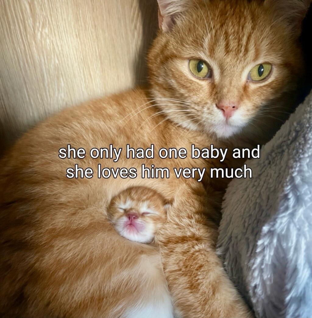 she only had one baby and she loves him very much
