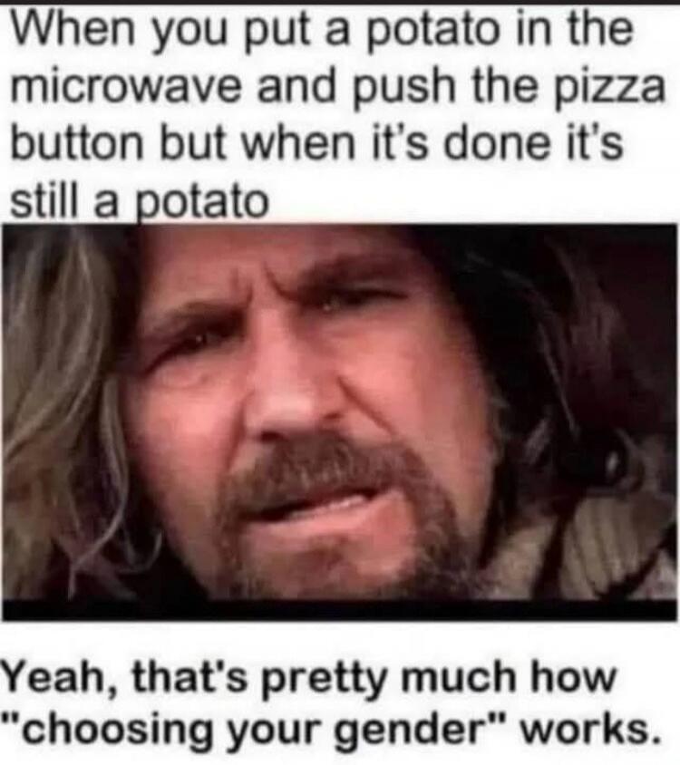 When you put a potato in the microwave and push the pizza button but when it's done it's still a potato. Yeah, that's pretty much how 