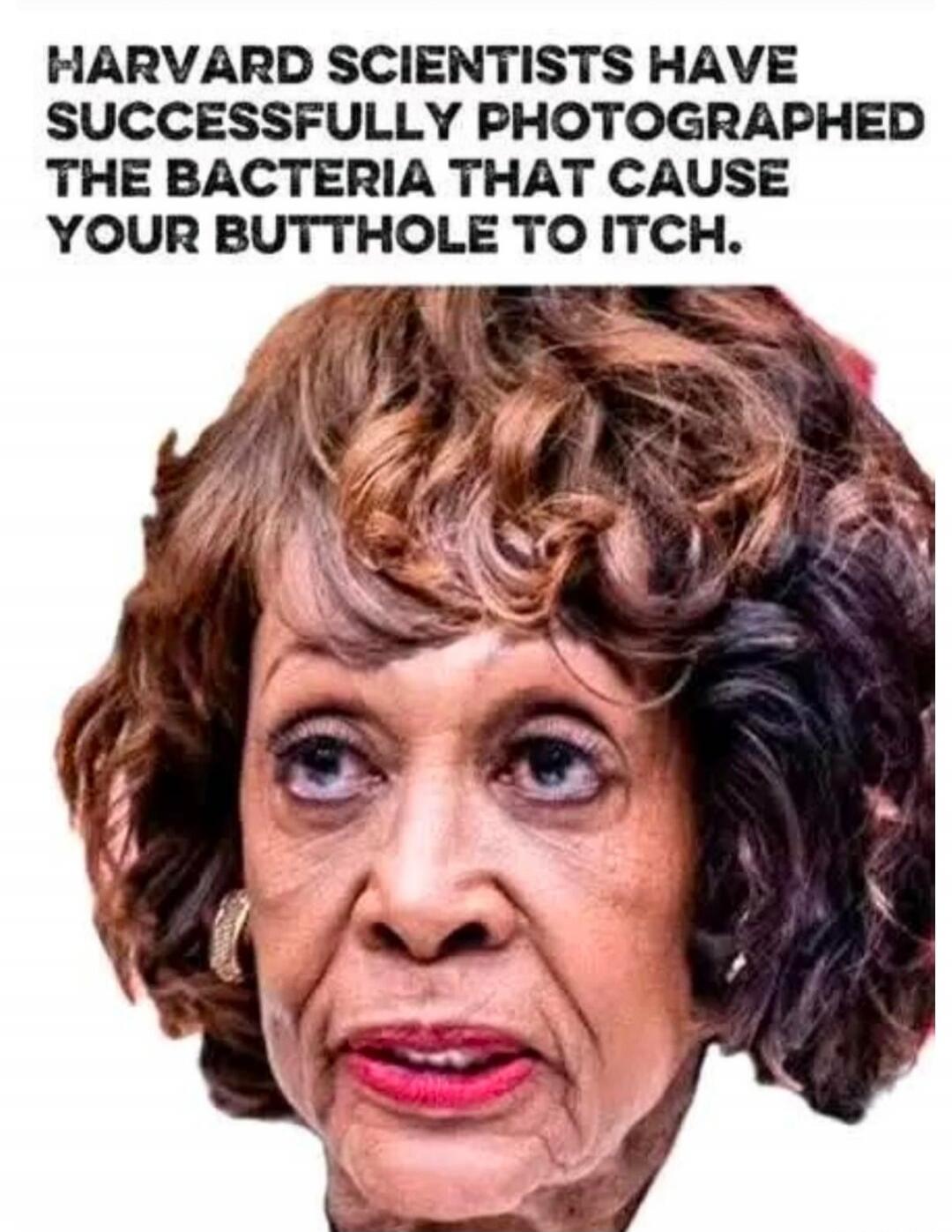 HARVARD SCIENTISTS HAVE SUCCESSFULLY PHOTOGRAPHED THE BACTERIA THAT CAUSE YOUR BUTTHOLE TO ITCH.