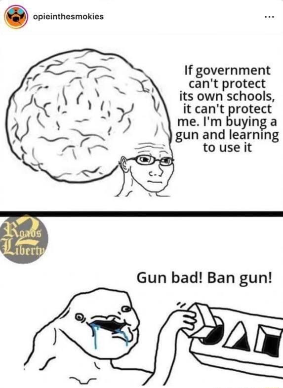 0 opieinthesmokies If government cant protect its own schools it cant protect me Im buying a gun and learning to use it Gun bad Ban gun