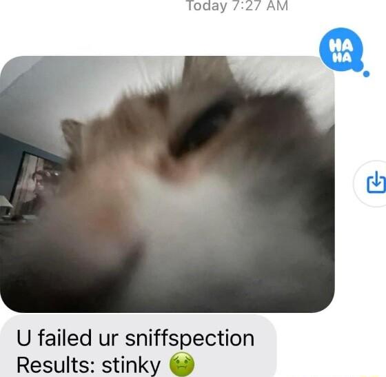 U failed ur sniffspection Results stink