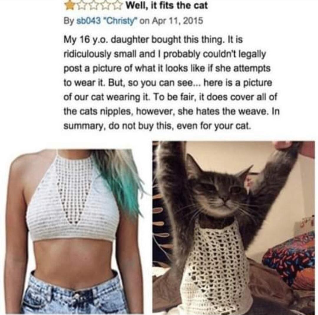 v Well it fits the cat By 5043 Christy on Apr 11 2015 My 16 0 daughter bought this thing Itis ridiculously small and probably couldnt legally post a picture of what it looks like if she attempts to wear it But 50 you can see here is a picture of our cat wearing it To be fair it does cover all of the cats nipples however she hates the weave In summary do ot buy this even for your cat