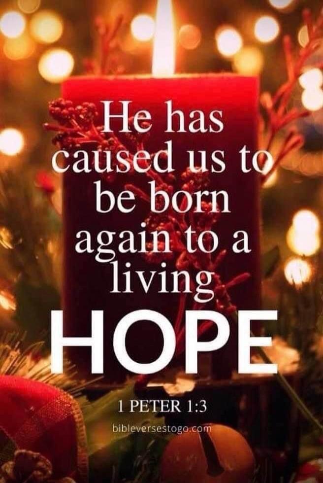 He has caused us to be born again to a living HOPE 1 PETER 1:3 bibleversestogo.com