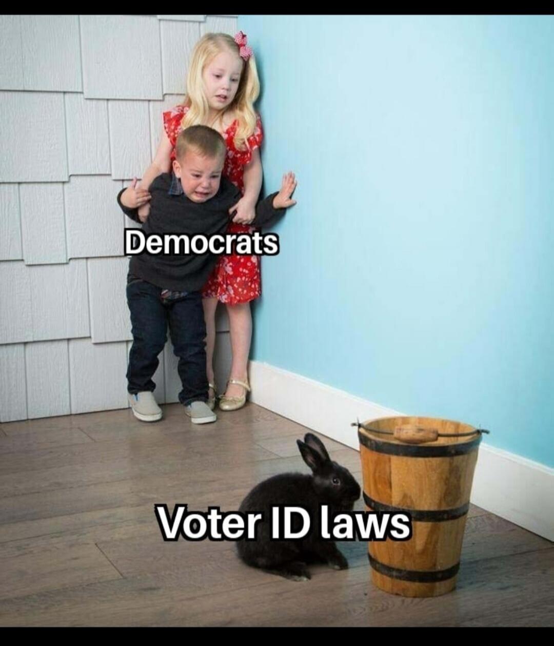 Democrats Voter ID laws