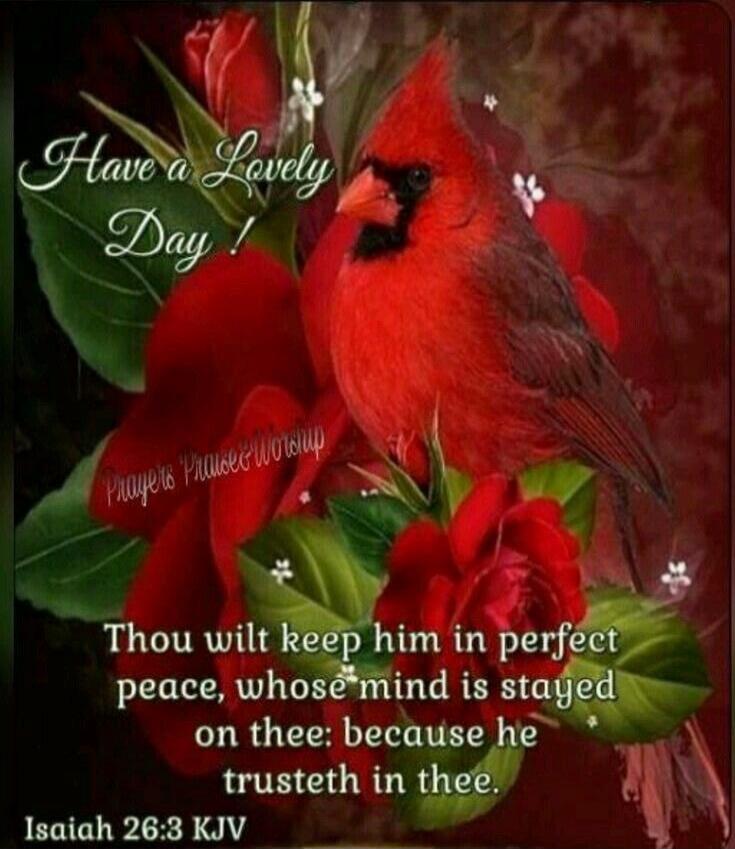 Have a Lovely Day! Prayers Praise & Worship Thou wilt keep him in perfect peace, whose mind is stayed on thee: because he trusteth in thee. Isaiah 26:3 KJV