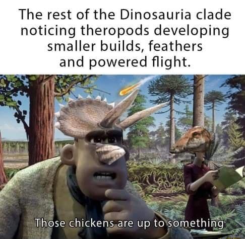 The rest of the Dinosauria clade noticing theropods developing smaller builds feathers and powered flight Tihose chickensare up torsomething S i