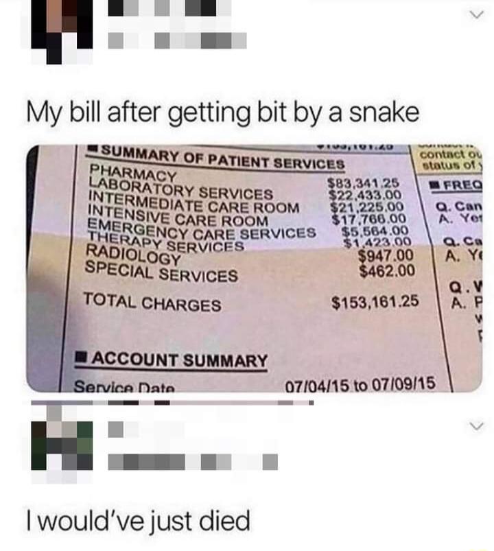 T o My bill after getting bit by a snake Al arvie 07104115 to 07109115 LN n wouldve just died