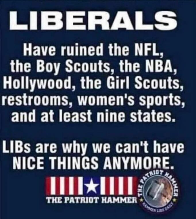 LIBERALS Have ruined the NFL, the Boy Scouts, the NBA, Hollywood, the Girl Scouts, restrooms, women's sports, and at least nine states. LIBs are why we can't have NICE THINGS ANYMORE. THE PATRIOT HAMMER THE PATRIOT HAMMER LIB DAILY