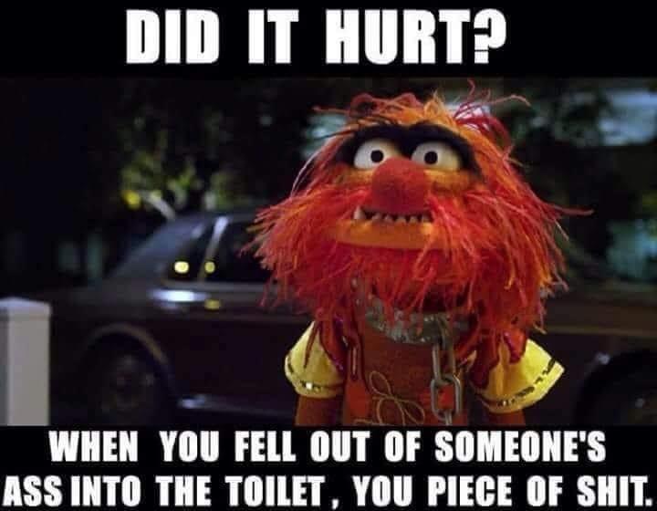 DD IT IIIIIII WHEN YOU FELL OUT OF SOMEONES ASS INTO THE TOILET YOU PIECE OF SHIT