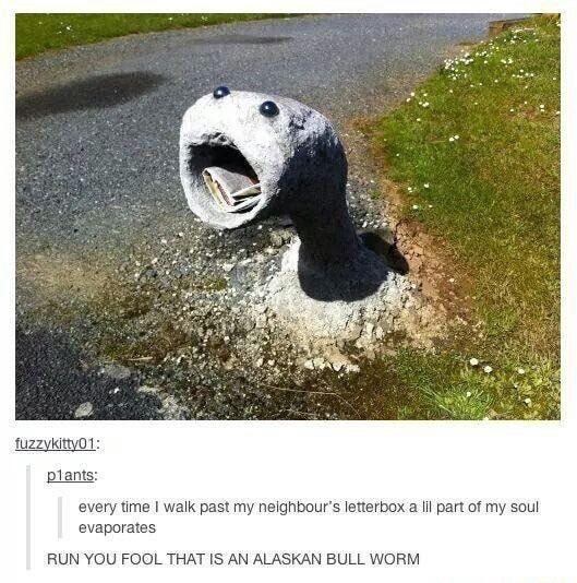 fuzzviatyo1 p1ants ime walk past my nelgh erbox a ll part of my evaporates RUN YOU FOOL THAT IS AN ALASKAN BULL WORM