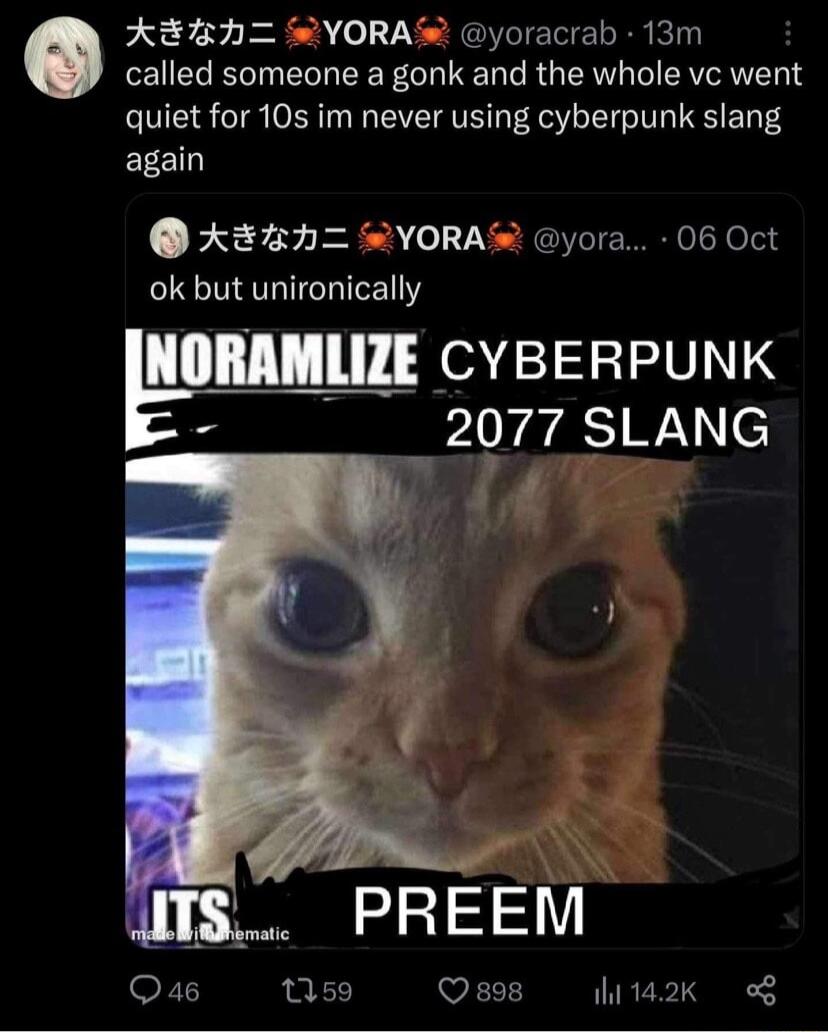 AEBH SYORA yoracrab 13m called someone a gonk and the whole vc went quiet for 10s im never using cyberpunk slang again KEH WYORA yora 06 Oct ok but unironically Illllnlllllli CYBERPUNK 2077 SLANG Vol i PREEM Qus 59 VI BTREE T