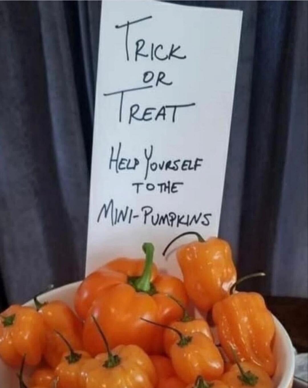 Trick or treat
Help yourself to the mini-pumpkins