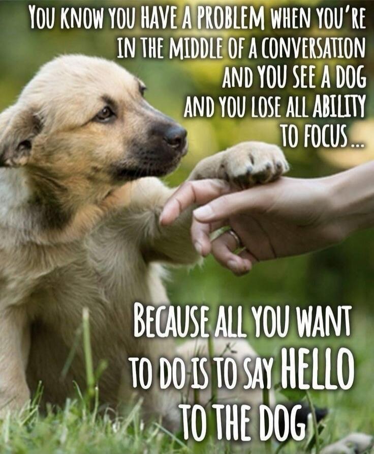 YOU KNOW YOU HAVE A PROBLEM WHEN YOU’RE IN THE MIDDLE OF A CONVERSATION AND YOU SEE A DOG AND YOU LOSE ALL ABILITY TO FOCUS... BECAUSE ALL YOU WANT TO DO IS TO SAY HELLO TO THE DOG