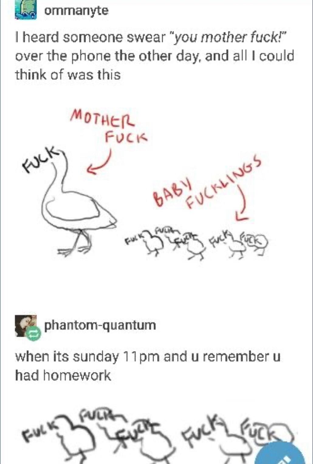 ommanyte heard someone swear you mother fuck over the phone the other day and all I could think of was this phantom quantum when its sunday 11pm and u remember u had homework QTR Witeny