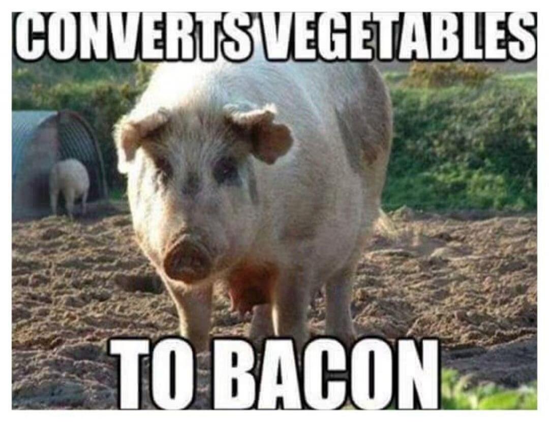 CONVERTS VEGETABLES TO BACON