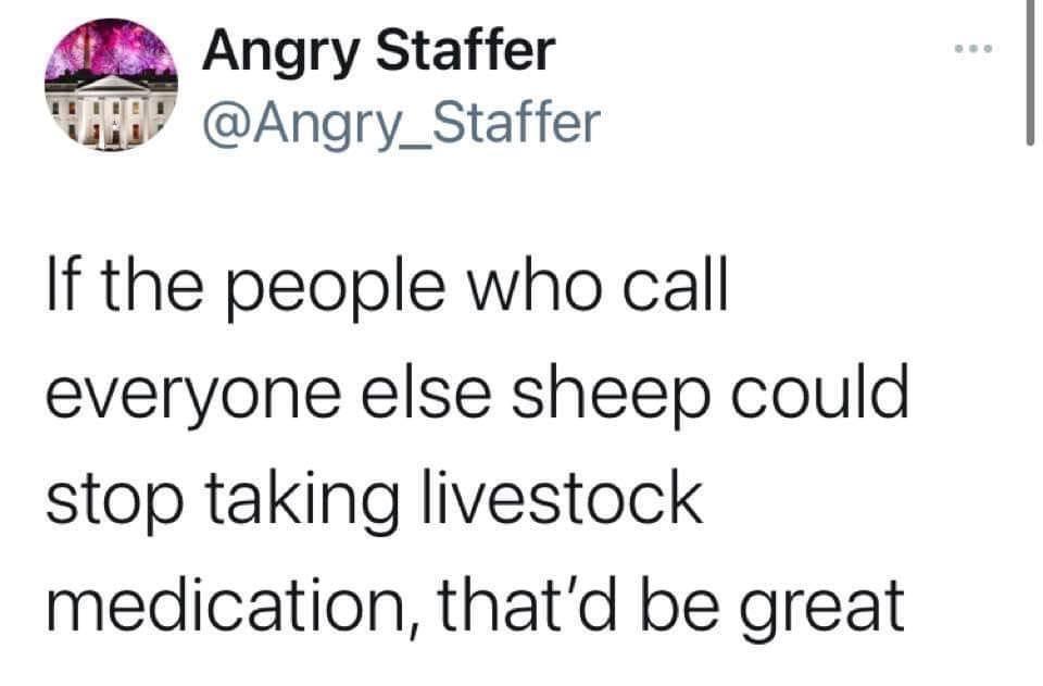 AF2 Angry Staffer i Angry_Staffer If the people who call everyone else sheep could stop taking livestock medication thatd be great