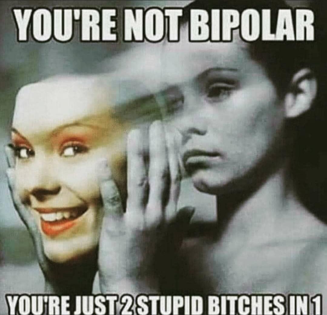 YOU'RE NOT BIPOLAR YOU'RE JUST 2 STUPID BITCHES IN 1