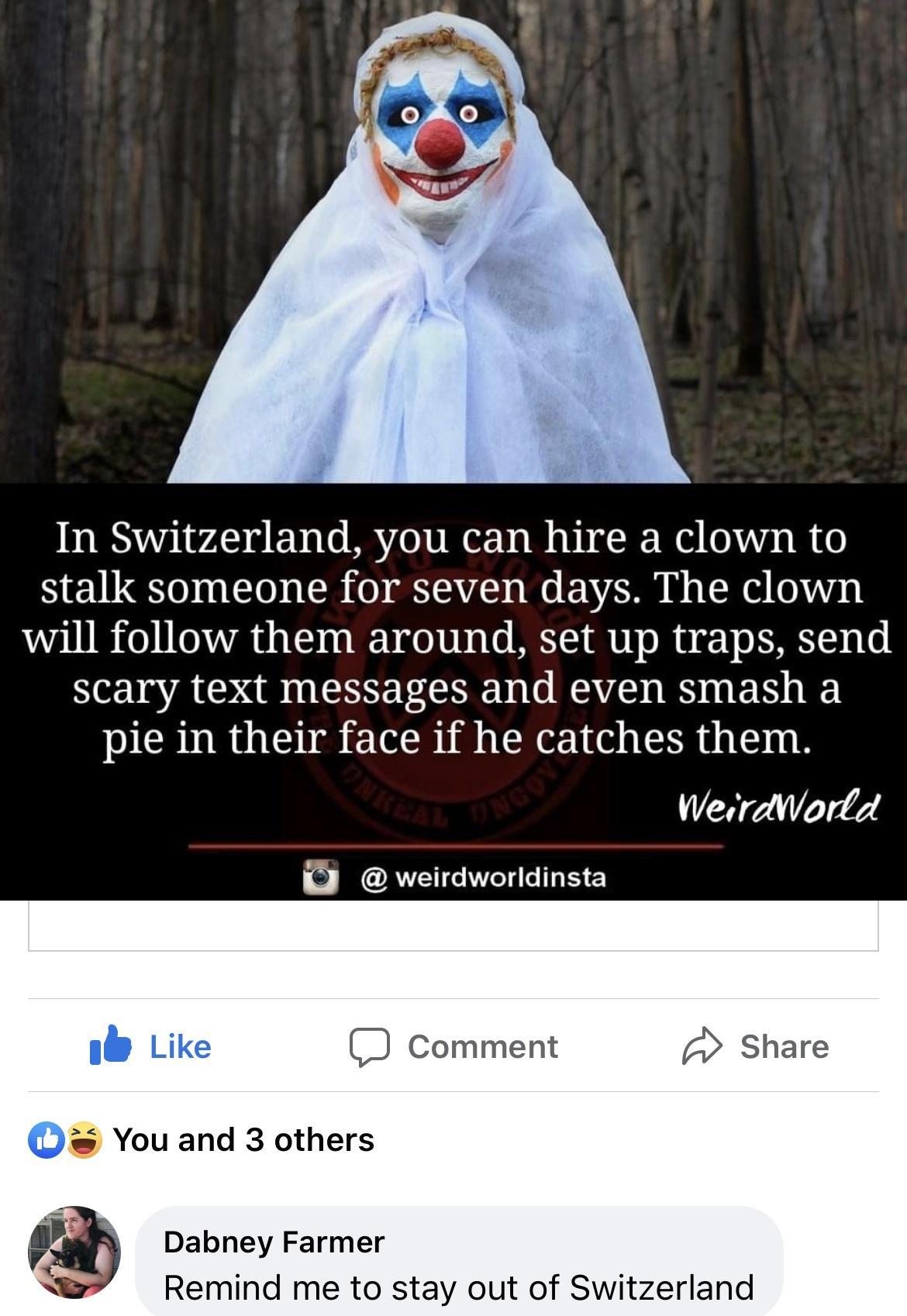In Switzerland you can hire a clown to stalk someone for seven days The clown will follow them around set up traps send HENWAO S EEREECEN RS B pie in their face if he catches them WeirdWorld weirdworldinsta Comment You and 3 others b Dabney Farmer Remind me to stay out of Switzerland
