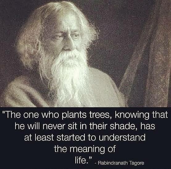 The one who plants trees knowing that he will never sit in their shade has at least started to understand the meaning of life rabincranatn Tagore