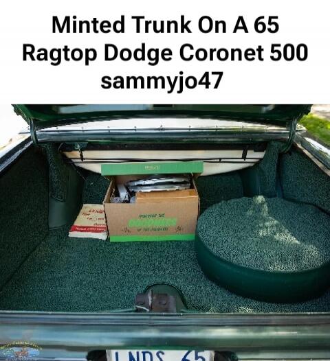 Minted Trunk On A 65 RagTop Dodge Coronet 500 sammyjo47