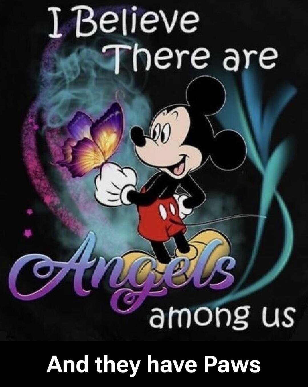 I Believe There are Angels among us And they have Paws