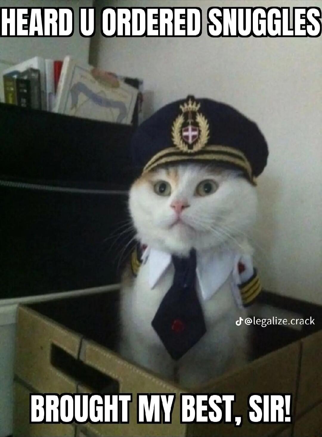 HEARD U ORDERED SNUGGLES BROUGHT MY BEST, SIR!