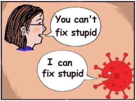 You cant fix stupid Ty I can fix stupid L_