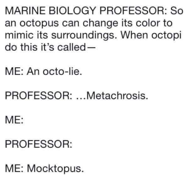 MARINE BIOLOGY PROFESSOR So an octopus can change its color to mimic its surroundings When octopi do this its called ME An octo lie PROFESSOR Metachrosis ME PROFESSOR ME Mocktopus