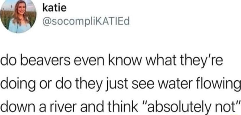 L katie socompliKATIEd do beavers even know what theyre doing or do they just see water flowing down a river and think absolutely not