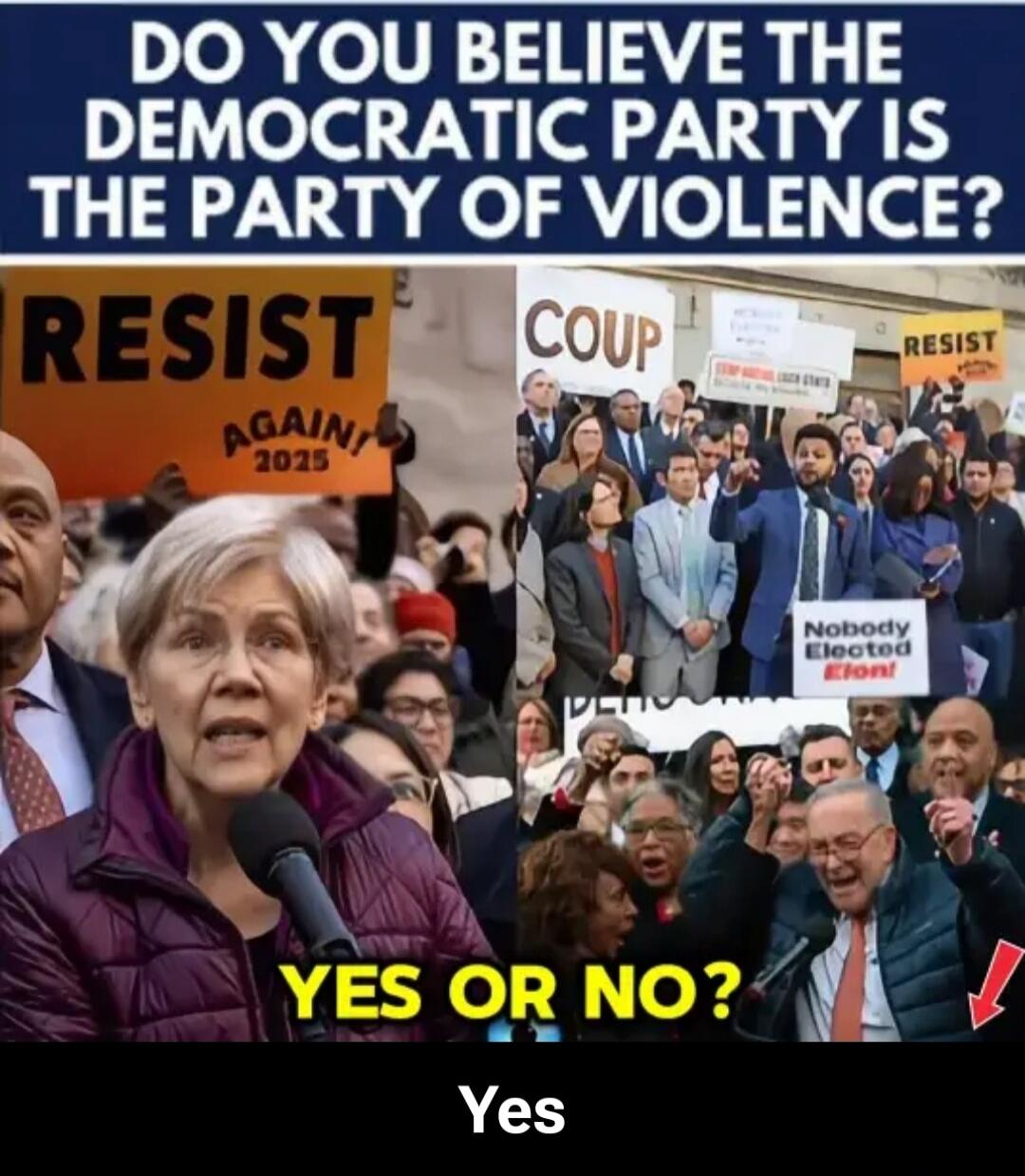 DO YOU BELIEVE THE DEMOCRATIC PARTY IS THE PARTY OF VIOLENCE? RESIST AGAIN 2025 COUP Nobody Elected Elon YES OR NO? Yes