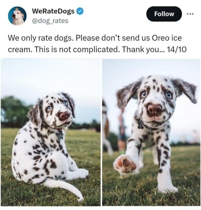 WeRateDogs dog rates We only rate dogs Please dont send us Oreo ice cream This is not complicated Thank you 1410