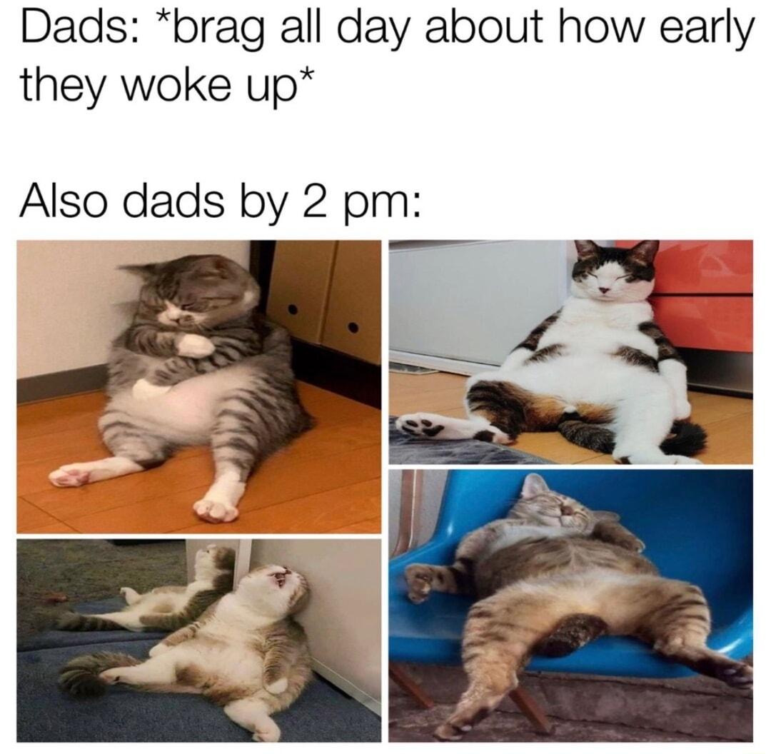 Dads brag all day about how early they woke up Also dads by 2 pm