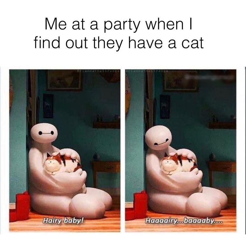 Me at a party when find out they have a cat